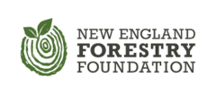 New England Forestry Foundation